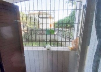 Balcone - Villa via Giardino, Pianoro - foto 41