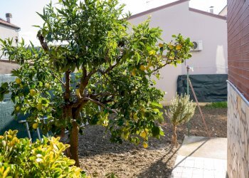 Foto 26 - Appartamento GIUSEPPE VERDI FONTANELLE
 
7, Atri - foto 26