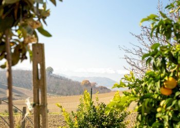 Foto 32 - Appartamento GIUSEPPE VERDI FONTANELLE
 
7, Atri - foto 32