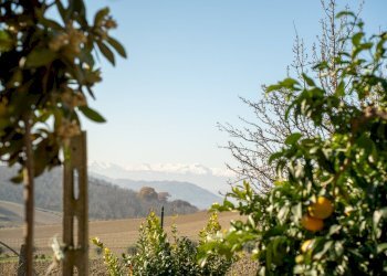 Foto 33 - Appartamento GIUSEPPE VERDI FONTANELLE
 
7, Atri - foto 33