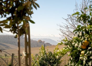 Foto 34 - Appartamento GIUSEPPE VERDI FONTANELLE
 
7, Atri - foto 34