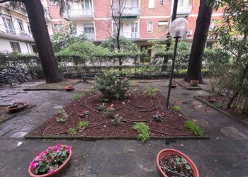 Giardino - Bilocale via Giuseppe Dagnini, Bologna (zona Murri) - foto 41