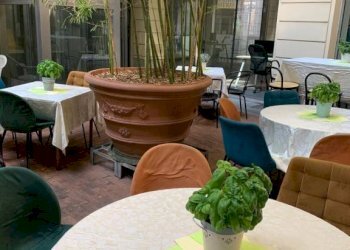 Terrazzo - Bar Tavola Calda - Fredda Alessandria - foto 8