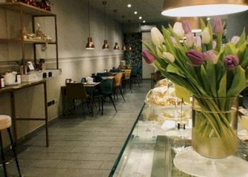 Interno non residenziale - Bar Tavola Calda - Fredda Alessandria - foto 10