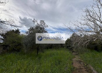 Foto 38 - Villa via vecchia comunale maglie palmariggi
 
5, Maglie - foto 38