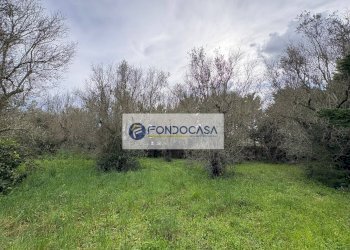 Foto 40 - Villa via vecchia comunale maglie palmariggi
 
5, Maglie - foto 40