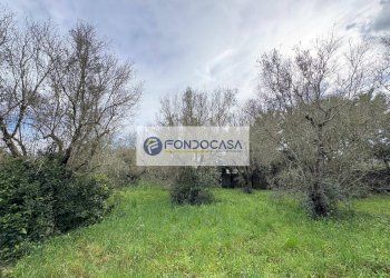 Foto 41 - Villa via vecchia comunale maglie palmariggi
 
5, Maglie - foto 41