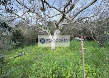 Foto 42 - Villa via vecchia comunale maglie palmariggi
 
5, Maglie - foto 42