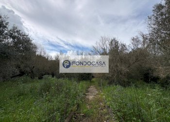 Foto 43 - Villa via vecchia comunale maglie palmariggi
 
5, Maglie - foto 43