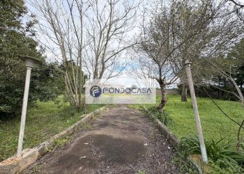 Foto 46 - Villa via vecchia comunale maglie palmariggi
 
5, Maglie - foto 46