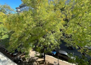 Vista - Appartamento via Andrea Solari, 6, Milano - foto 8