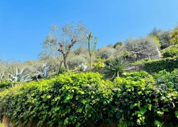 Foto 11 - Trilocale Via Solitario delle Alpi, Cervo - foto 11