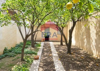 Giardino - Independent house Via Giovanni Sesta
 
7, Trapani - photo 7