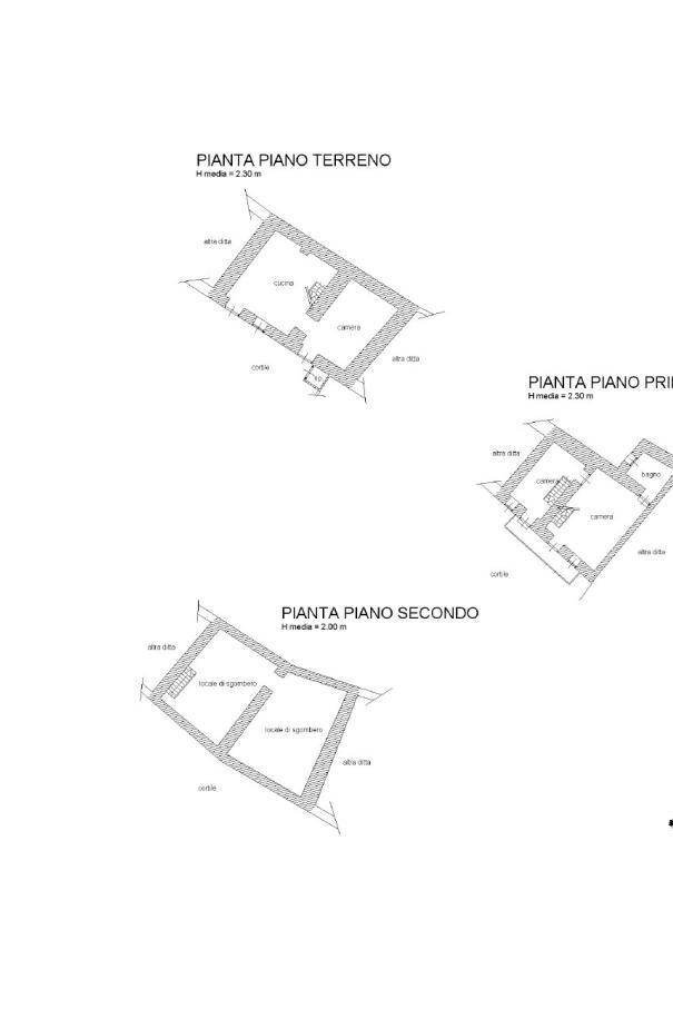 Casa indipendente Borgata Martinotti, San Pietro Val Lemina - planimetria 1