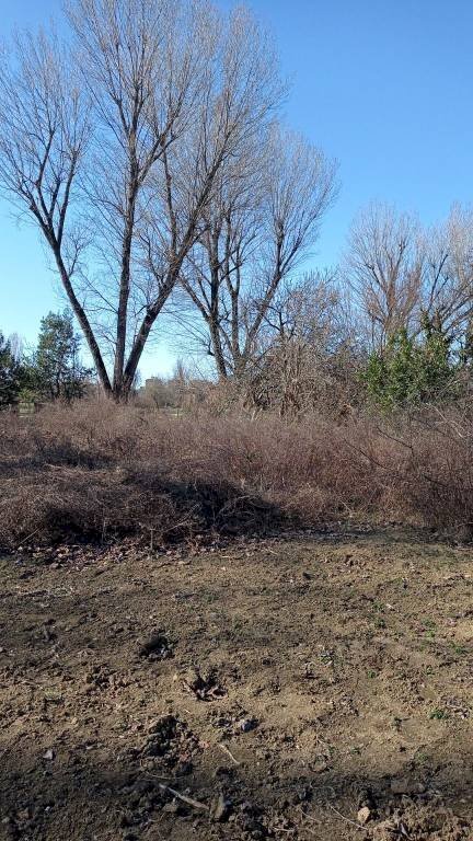 A - Terreno agricolo via Elio Vittorini, 34, Milano (zona Ponte Lambro) - foto 1