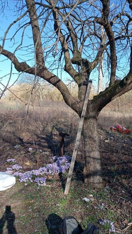 B - Terreno agricolo via Elio Vittorini, 34, Milano (zona Ponte Lambro) - foto 2