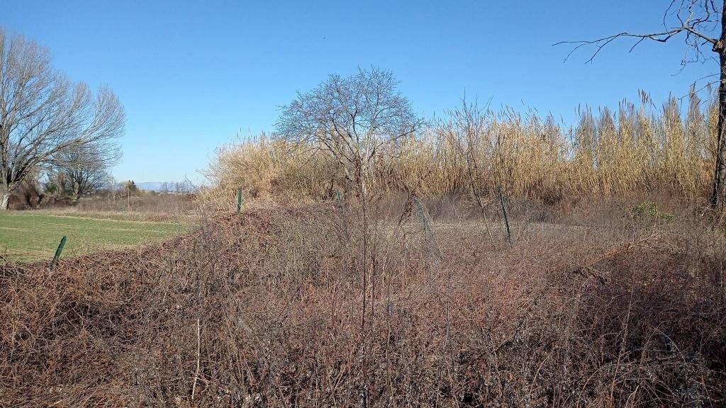 C - Terreno agricolo via Elio Vittorini, 34, Milano (zona Ponte Lambro) - foto 3