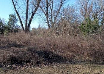 A - Terreno agricolo via Elio Vittorini, 34, Milano (zona Ponte Lambro) - foto 1