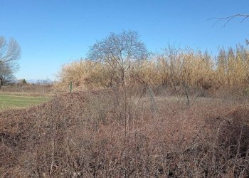 C - Terreno agricolo via Elio Vittorini, 34, Milano (zona Ponte Lambro) - foto 3