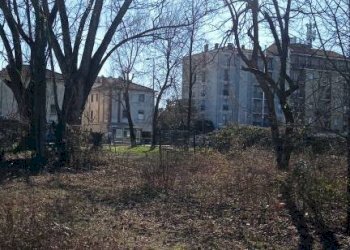 D - Terreno agricolo via Elio Vittorini, 34, Milano (zona Ponte Lambro) - foto 4