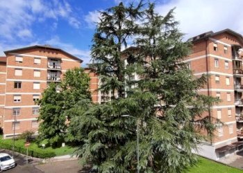 Appartamento via Maria Montessori, Milano - foto 1