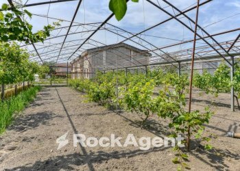 Terreno - Rustico via Orta Corcia, Angri - foto 17