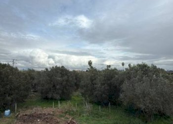 Terreno - Villa via del Tronco, Aprilia - photo 11