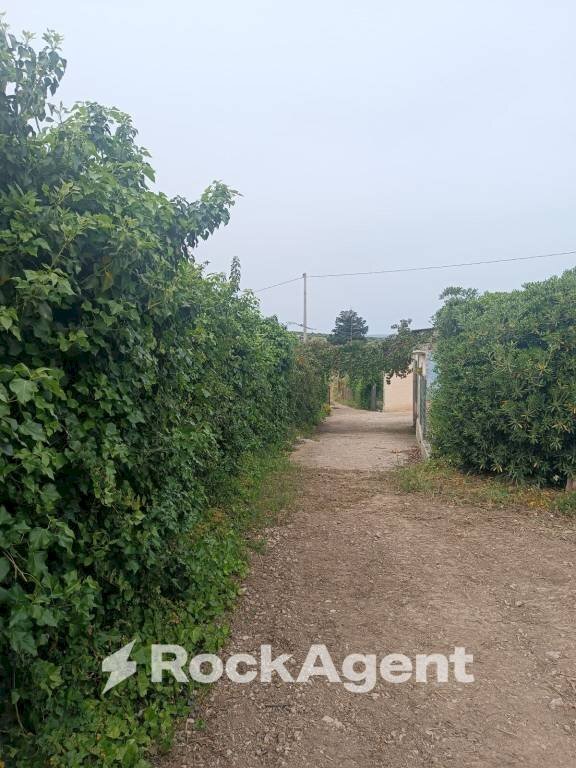 Terreno - Villa Bommiscuro SNC, Noto - foto 2