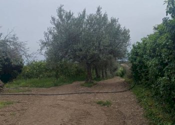 Terreno - Villa Bommiscuro SNC, Noto - photo 14