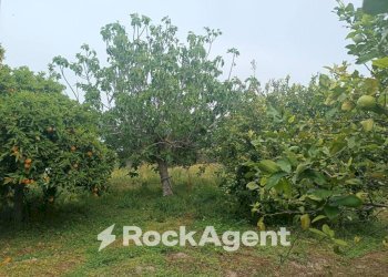 Terreno - Villa Bommiscuro SNC, Noto - photo 20