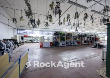 Interno non residenziale - Negozio via Marco Polo, 105, Bientina - foto 29