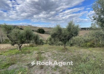 Terreno - Independent house via Villa Tassoni, 10, Bellante - photo 23