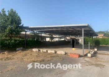 Terreno - Altro via Amedeo Molinara, Altavilla Silentina - foto 4