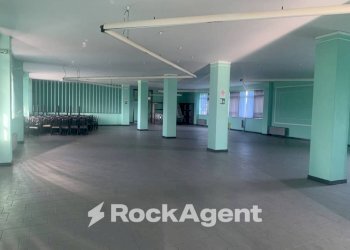 Interno non residenziale - Altro via Amedeo Molinara, Altavilla Silentina - foto 10