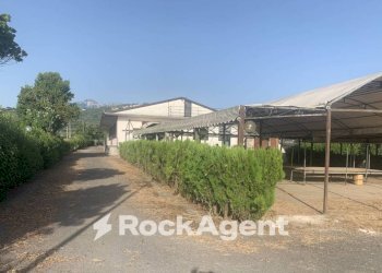 Terreno - Altro via Amedeo Molinara, Altavilla Silentina - foto 23