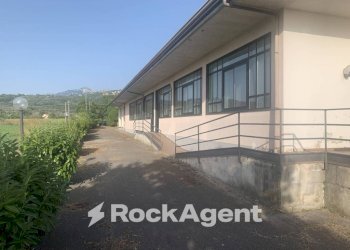 Facciata - Altro via Amedeo Molinara, Altavilla Silentina - foto 24