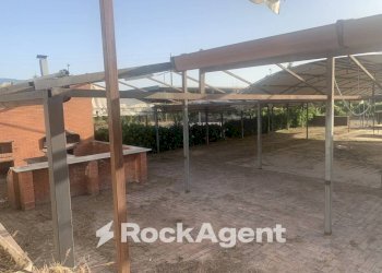 Giardino - Altro via Amedeo Molinara, Altavilla Silentina - foto 29