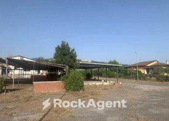 Terreno - Altro via Amedeo Molinara, Altavilla Silentina - foto 32