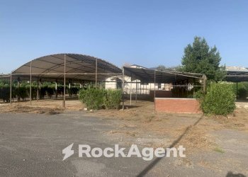 Terreno - Altro via Amedeo Molinara, Altavilla Silentina - foto 36