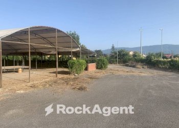 Terreno - Altro via Amedeo Molinara, Altavilla Silentina - foto 38