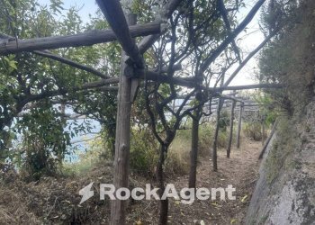 Terreno - Terreno agricolo largo Civita, 10, Ravello - foto 16