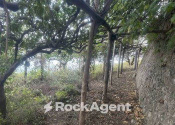 Terreno - Terreno agricolo largo Civita, 10, Ravello - foto 23