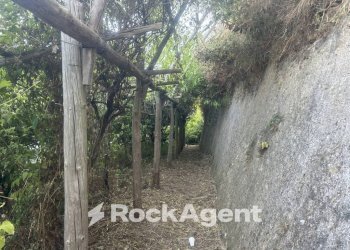 Terreno - Terreno agricolo largo Civita, 10, Ravello - foto 26