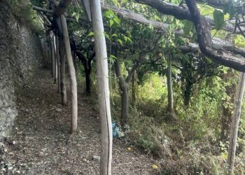 Terreno - Terreno agricolo largo Civita, 10, Ravello - foto 31