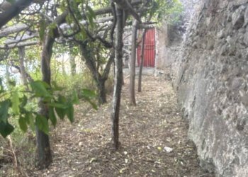 Terreno - Terreno agricolo largo Civita, 10, Ravello - foto 35