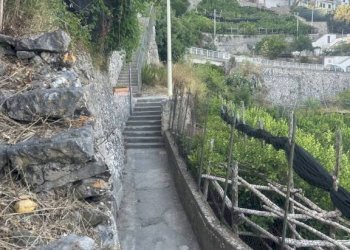 Terreno - Terreno agricolo largo Civita, 10, Ravello - foto 40