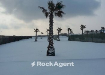 Zona - Attività Commerciale Lungomare Adriatico, Chioggia - foto 5