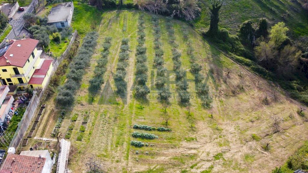 Terreno - Terreno edificabile via Fontana, Roncofreddo - foto 1