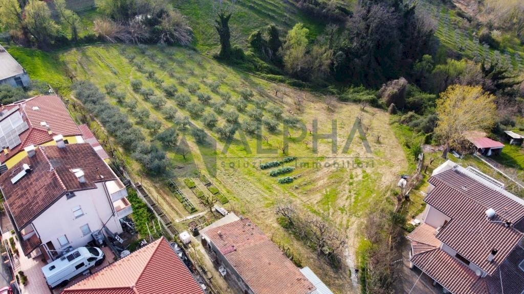 Vista - Terreno edificabile via Fontana, Roncofreddo - foto 2