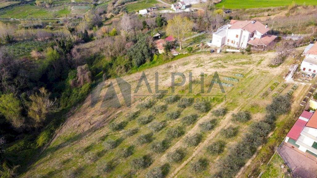 Vista - Terreno edificabile via Fontana, Roncofreddo - foto 3